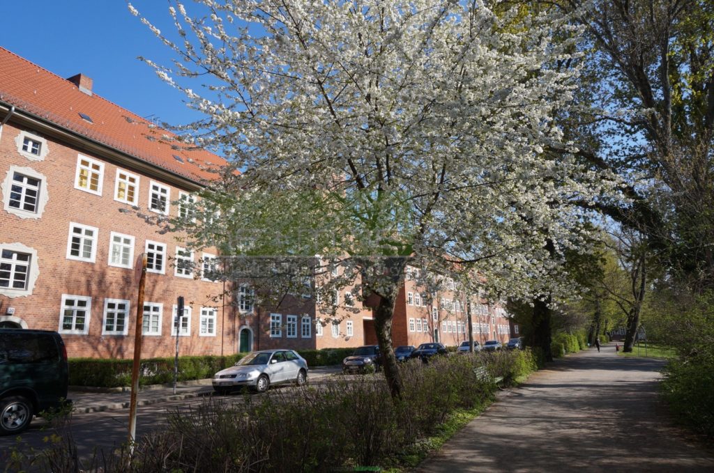 1,5 Zi. Wohnung in herrlich ruhiger Parklage 1,5 Zi. Wohnung in herrlich ruhiger Parklage