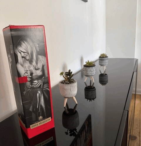 Bild 15
